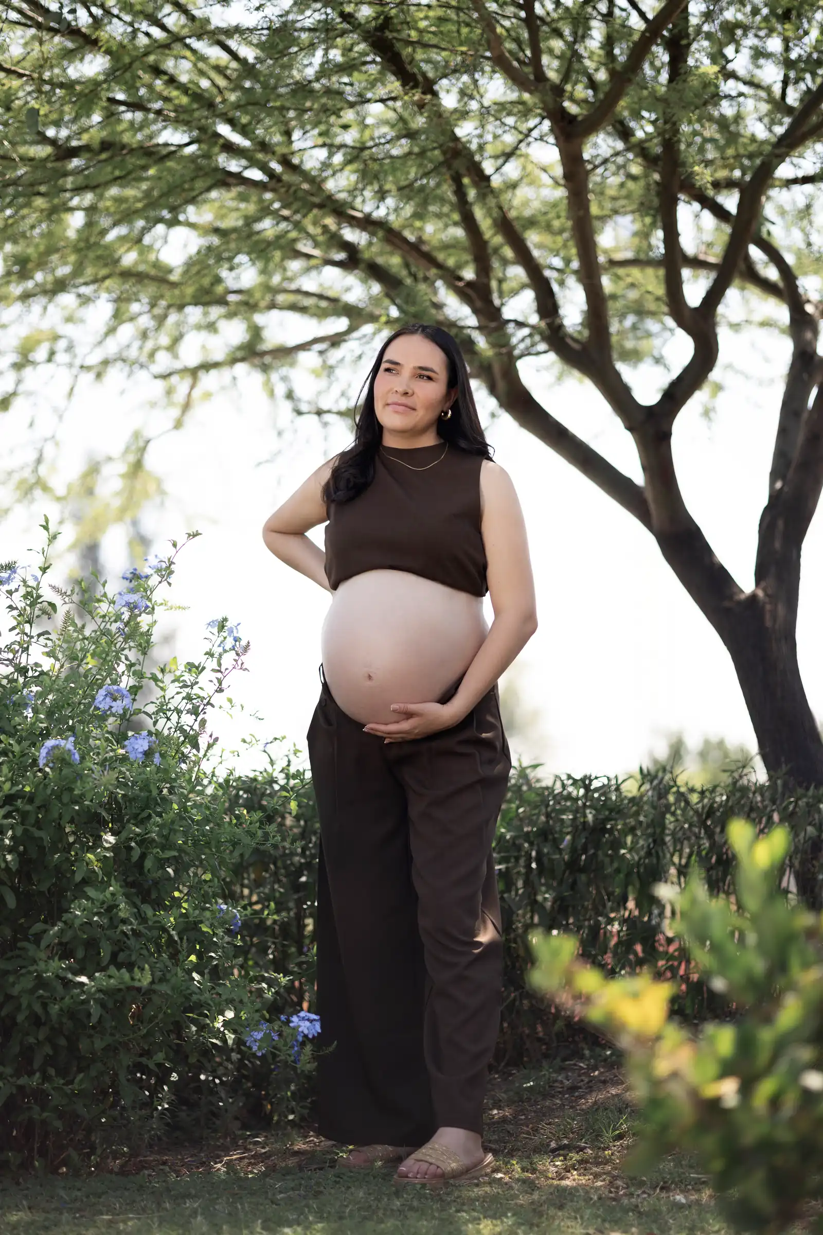 Sesión de maternidad bajo un árbol